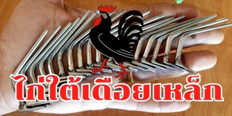 ทำไมไก่ชนเดือยเหล็กออนไลน์ถึงได้รับความนิยมและดึงดูดผู้เล่นจำนวนมาก?
